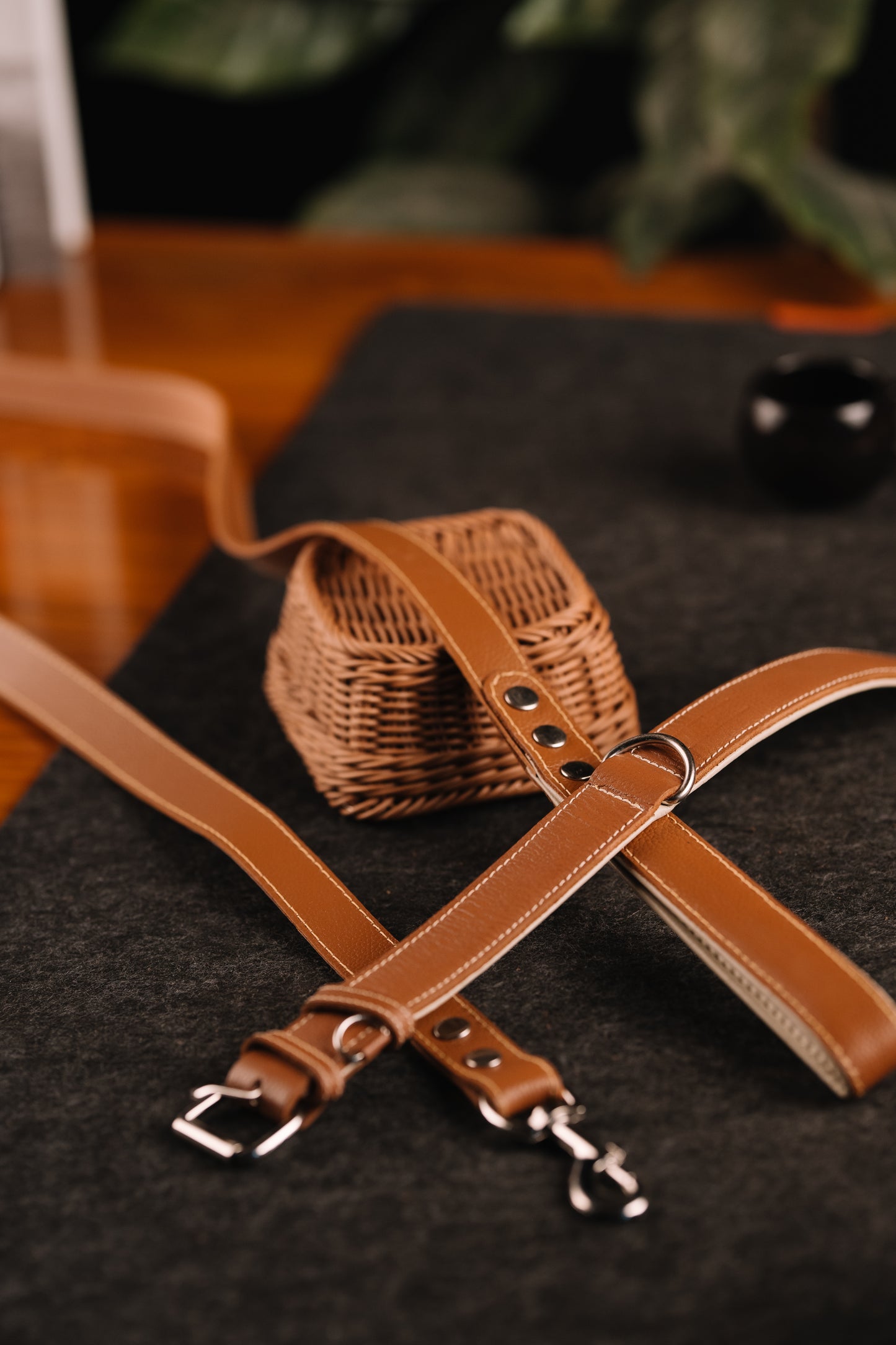 Classic Canine Collar & Leash (BROWN)
