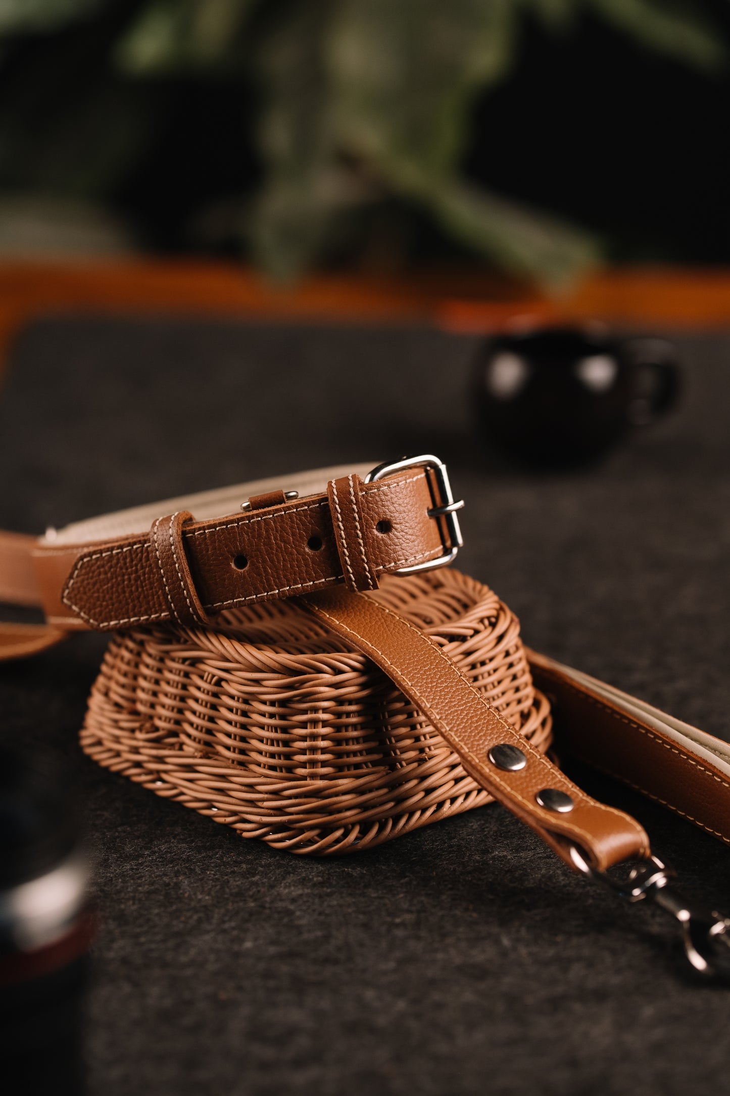 Classic Canine Collar & Leash (BROWN)